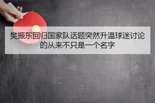 樊振东回归国家队话题突然升温球迷讨论的从来不只是一个名字